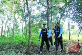 Wisata "tracking" kawasan Candi Muarojambi perlu promosi