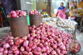 HARGA BAWANG TURUN Page 1 Small