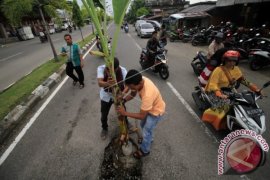 Tanam Batang Pisang di Lubang Jalan