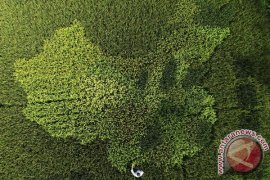 Dubes Tiongkok: hubungan bilateral alami kemajuan signifikan