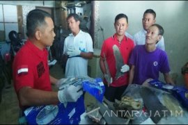 Polrestabes Surabaya Gerebek Usaha Perikanan Sirip Hiu