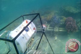 Mengamati Terumbu Karang Tanpa Menyelam Ala Mahasiswa IPB