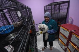 Jasa Penitipan Hewan Peliharaan