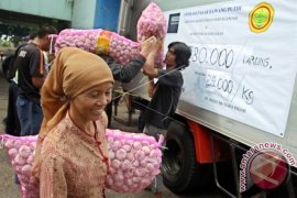 Distan upayakan kecamatan Oba jadi penghasil bawang