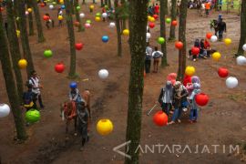 Wisata Hutan Pinus