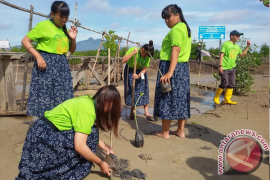 Penanaman Magrove di KWNP