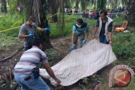 Penemuan Mayat Perempuan Korban Pembunuhan Gegerkan Warga Paser