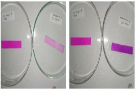 Mahasiswa IPB Ciptakan Sensor Pendeteksi Perwarna Berbahaya Pada Daging Ikan