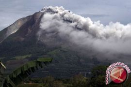 Gunung Sinabung Erupsi