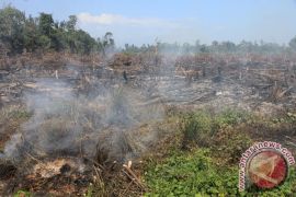 BNPB akan kirim heli untuk padamkan kebakaran lahan di Aceh
