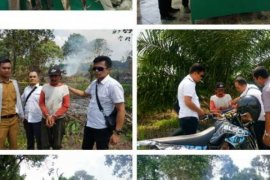 Bakar Lahan Untuk Tanam Bibit Labu, Petani di Rohil Ditangkap
