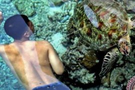 Indonesia Masih kekurangan Ilmuan Dibidang Kelautan