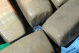 Pengendara Motor Buang 5Kg Ganja di Tong Sampah Harapan Raya