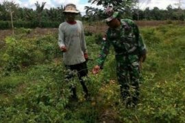 Pertamina Dan Kodim Dumai Sepakat Manfaatkan 20 Hektare Lahan Tidur