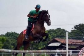 Pordasi Pekanbaru dan Polda Riau Gelar Iven Berkuda Show Jumping