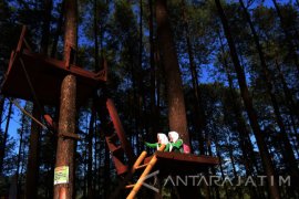 Wana Wisata Nongko Ijo