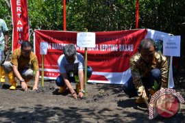 Pertamina Bantu Proses Rehabilitasi Kawasan Pesisir Padang