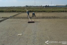 Bangun Pabrik Garam, Jateng Inventarisasi Lahan di Pati