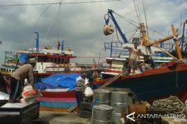 Puluhan Kapal Cantrang Pati Melaut Kembali
