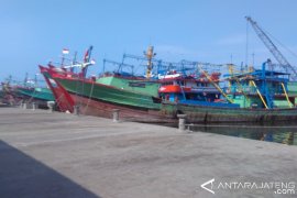 Aktivitas Lelang Ikan di TPI Pekalongan Sepi