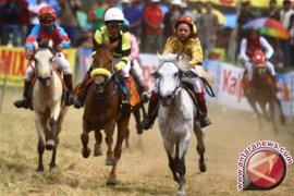 Pacuan Kuda Perbatasan Negara Tarik Minat Kunjungan Wisatawan