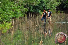 PENGEMBANGAN WISATA BAKAU Page 1 Small