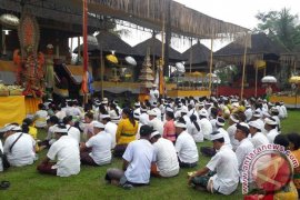 Pemkab Gianyar Menggelar Ritual "Nganyarin" di Pejeng
