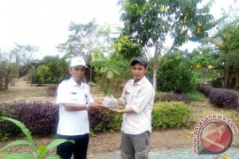 Pena Hijau Serahkan Pohon Langka Ke KRB