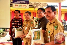 SMK PP Negeri Paringin Luncurkan Produk Beras Banarai