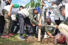 "GAMIS" Hijau Di Pondok Pesantren Darusslam