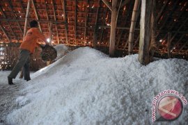 Pembangunan Pabrik Garam Pati Terkendala Pengadaan Lahan 