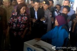 Masuki Musim Panen, Pelelangan Ikan di Cilacap Mulai Meningkat
