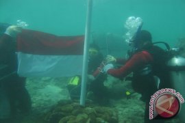 Penyelam Kupang Rayakan Kemerdekaan di Bawah Laut