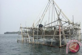 Dozens bagans in Kotabaru enter shipping lane
