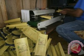 UKM Tabo Kopi Sipirok Butuh Perhatian Pemerintah