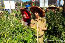 Temanggung lakukan gerakan pertanian ramah lingkungan
