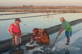 Produksi Sementara Garam Rakyat di Sumenep 149.640 Ton