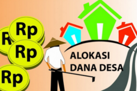 Bila Temukan Penyimpangan Dana Desa, Laporkan ke TP4D Pulpis