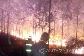 Limbah Pabrik Minyak Kayu Putih Ponorogo Terbakar