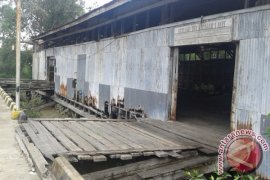 Pancang kayu bulian saksi kejayaan Pelabuhan Kualatungkal  (Video)