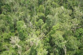 Tim ekspedisi petakan jalur jelajah di jantung hutan Borneo