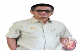 Hyundai Seriusi Bangun Pelabuhan di Tanah Kuning