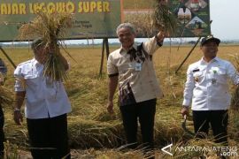 Ganjar Gagas Wisata Galangan Kapal di Batang