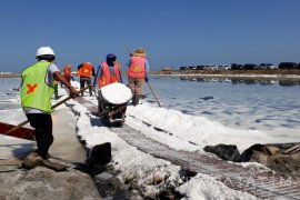 Menko Maritim: 2019 sudah Swasembada Garam