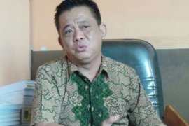 Legislator Inhil Sayangkan Penyelamatan Kebun Kelapa Rakyat Tak Sesuai Harapan    