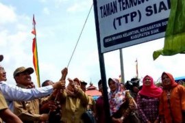 Pemkab Siak Mulai Peluncuran Awal Taman Teknologi Pertanian 