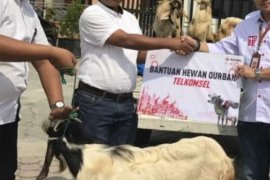 Telkomsel Serahkan 41.000 Paket Hewan Kurban