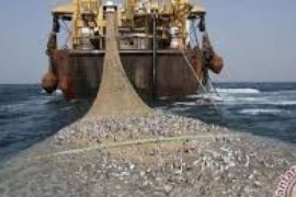  Larangan Cantrang Sudah Lama Kenapa Heboh Sekarang? 