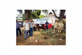 Ketua PCNU Bogor: Kurban Asah Kesalihan Sosial (2 Video)