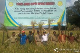 Karangtengah Purbalingga Menjadi Percontohan Salibu Jarwo Super